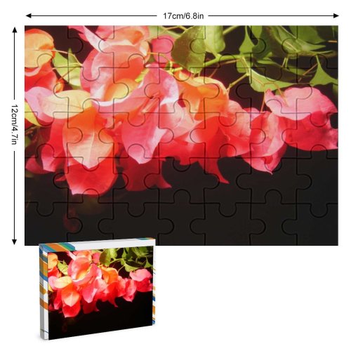 yanfind Picture Puzzle Leaf Stem Flower Flowers Branch Dark Night Petal Plant Garden Roses Peach Family Game Intellectual Educational Game Jigsaw Puzzle Toy Set