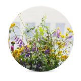 yanfind Ceramic Coasters (round) Images Floral Vines Flora Spring Wildflowers California Flowers Aster Wallpapers Mimosa Plant Family Game Intellectual Educational Game Jigsaw Puzzle Toy Set