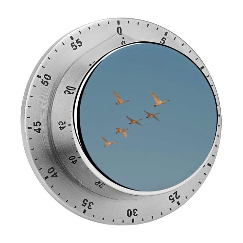 yanfind Timer Swans Formation Sky  Winter Airplane Flight  Travel Flap Aircraft Vehicle 60 Minutes Mechanical Visual Timer