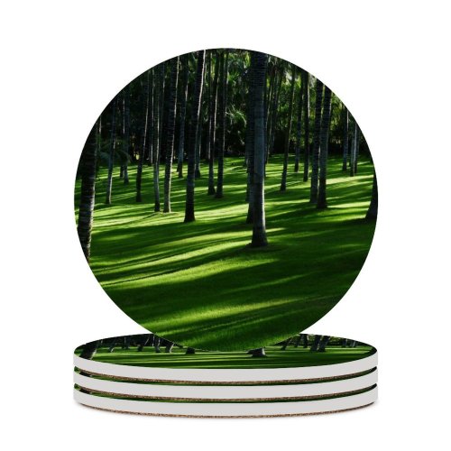yanfind Ceramic Coasters (round) Grass Trees Woods Daylight Forest Landscape Family Game Intellectual Educational Game Jigsaw Puzzle Toy Set