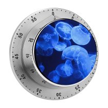 yanfind Timer Bruno Glätsch Jellyfish Aquarium Underwater Glowing Marine  Transparent Dark 60 Minutes Mechanical Visual Timer