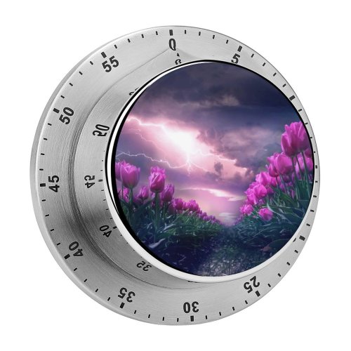 yanfind Timer Flowers Flowers Path Thunderstorm Dark Sky 60 Minutes Mechanical Visual Timer