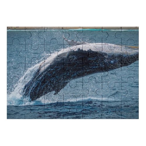 yanfind Picture Puzzle Images  Réunion French Marine Island Sea Wallpapers Stock Free Pictures Family Game Intellectual Educational Game Jigsaw Puzzle Toy Set