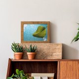 yanfind Picture Puzzle Leaf Sky Clouds Light Above Plant Against Silence Lonely Colour Simple Botany Family Game Intellectual Educational Game Jigsaw Puzzle Toy Set