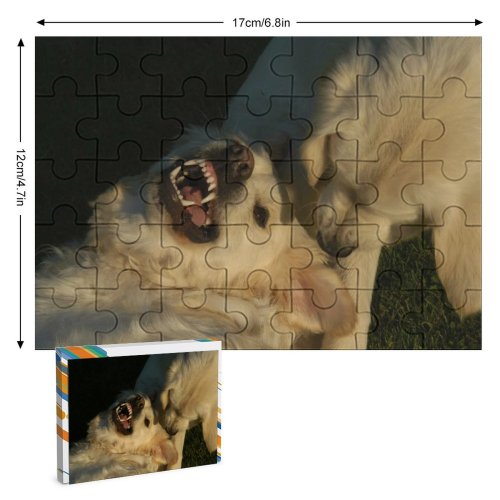 yanfind Picture Puzzle Dog Golden Vertebrate Canidae Carnivore Great Pyrenees Snout Sporting Family Game Intellectual Educational Game Jigsaw Puzzle Toy Set