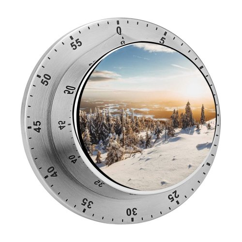 yanfind Timer Winter Landscape Pine Trees Frosted Trees Sunny Snow 60 Minutes Mechanical Visual Timer