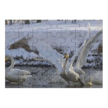 yanfind Picture Puzzle Whooper  Bird Fight Spring Lake Vertebrate Ducks Geese Swans Beak Tundra Family Game Intellectual Educational Game Jigsaw Puzzle Toy Set