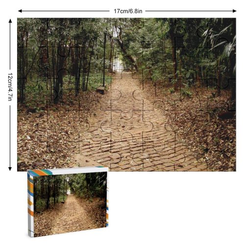 yanfind Picture Puzzle Road Forest Alley Wood Tree Campinas Stone Brick Flora Fall Trees Season Family Game Intellectual Educational Game Jigsaw Puzzle Toy Set