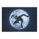 yanfind Picture Puzzle Graphics CGI Black Dark SpiderMan Night Monkey MARVEL Contest Champions Family Game Intellectual Educational Game Jigsaw Puzzle Toy Set