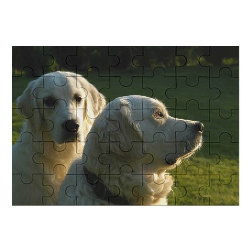 yanfind Picture Puzzle Dog Golden Vertebrate Canidae Carnivore Maremma Sheepdog Polish Tatra Family Game Intellectual Educational Game Jigsaw Puzzle Toy Set