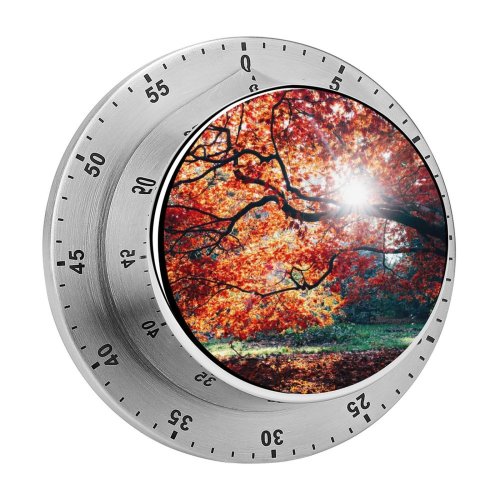 yanfind Timer Dan Freeman Autumn Fall Maple Tree Foliage Sunlight Westonbirt National Arboretum England 60 Minutes Mechanical Visual Timer