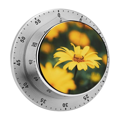 yanfind Timer Images Autumn Dnipro Украина Last Petal Днепропетровская Filed Wallpapers Plant Garden Asteraceae 60 Minutes Mechanical Visual Timer