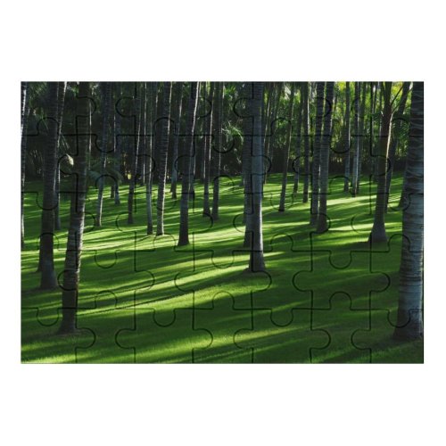 yanfind Picture Puzzle Grass Trees Woods Daylight Forest Landscape Family Game Intellectual Educational Game Jigsaw Puzzle Toy Set