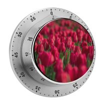 yanfind Timer Reynaldo Brigantty Flowers Tulips Field  Bloom Spring Colorful Floral Bokeh Selective 60 Minutes Mechanical Visual Timer
