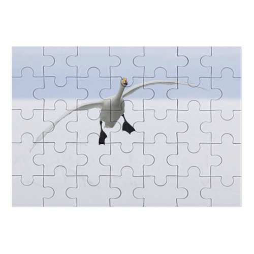 yanfind Picture Puzzle Whooper  Landing  Lake Snow Bird Beak Seabird Gull Wing Flight Family Game Intellectual Educational Game Jigsaw Puzzle Toy Set