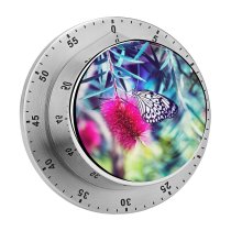 yanfind Timer Images Insect Colorful Flora Montreal Wing Petal Stem Wallpapers Plant Bloom Antenna 60 Minutes Mechanical Visual Timer