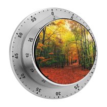 yanfind Timer Johannes Plenio Forest Autumn Sunny Foliage Sunlight 60 Minutes Mechanical Visual Timer