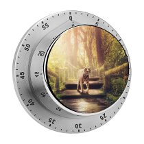 yanfind Timer Dorothe  Wooden Stairs Forest Jungle Trees Sunlight Wooden Planks 60 Minutes Mechanical Visual Timer
