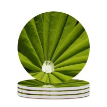 yanfind Ceramic Coasters (round) Sparkling Waterdrop Leaf Forest Lonely Plant Botany Terrestrial Stem Flower Symmetry Macro Family Game Intellectual Educational Game Jigsaw Puzzle Toy Set