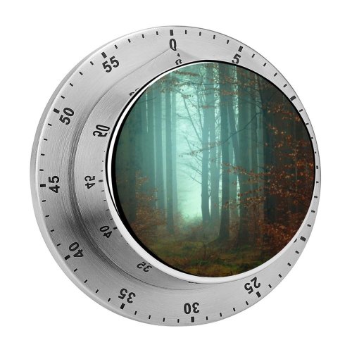 yanfind Timer Johannes Plenio Forest Fall Autumn Foggy Morning Atmosphere Mist 60 Minutes Mechanical Visual Timer