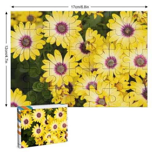 yanfind Picture Puzzle Daisies Flowers Floral  Bloom Spring Closeup 5K Family Game Intellectual Educational Game Jigsaw Puzzle Toy Set