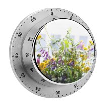 yanfind Timer Images Floral Vines Flora Spring Wildflowers California Flowers Aster Wallpapers Mimosa Plant 60 Minutes Mechanical Visual Timer