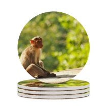 yanfind Ceramic Coasters (round)  Images India Public Salem Wildlife Lonely Wallpapers Old  Pictures Baboon Family Game Intellectual Educational Game Jigsaw Puzzle Toy Set