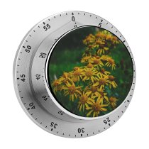 yanfind Timer Images Fall Autumn Petal Wallpapers Plant Asteraceae Outdoors Pollen Free Pictures Daisy 60 Minutes Mechanical Visual Timer