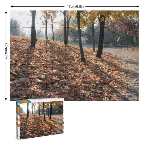 yanfind Picture Puzzle Leaf Tree Deciduous Natural Landscape Autumn Woodland Forest Northern Hardwood Family Game Intellectual Educational Game Jigsaw Puzzle Toy Set