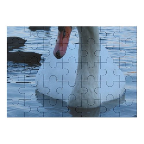 yanfind Picture Puzzle  Lake Bird Ducks Geese Swans Beak Waterfowl Duck Neck Goose Family Game Intellectual Educational Game Jigsaw Puzzle Toy Set