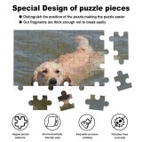 yanfind Picture Puzzle Golden Dog Swim Beach Fetch Pet Vertebrate Canidae Carnivore Sporting Family Game Intellectual Educational Game Jigsaw Puzzle Toy Set