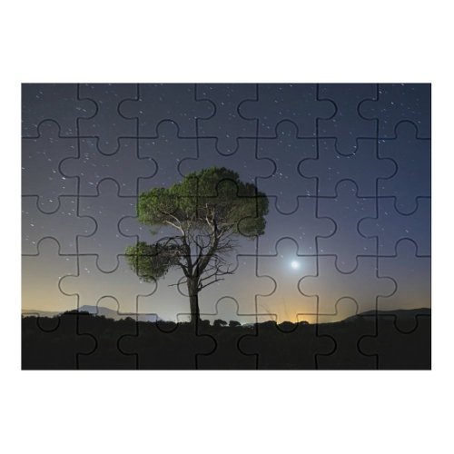 yanfind Picture Puzzle Celebrities Sky Exposure  Tree Non Entertainment Outdoors Valencia Fantasy  Scenery002 Family Game Intellectual Educational Game Jigsaw Puzzle Toy Set