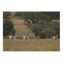 yanfind Picture Puzzle Zebra Wild Africa Wildlife  Grassland Canidae Meadow Grass Savanna Safari Wolfdog Family Game Intellectual Educational Game Jigsaw Puzzle Toy Set