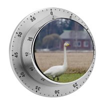 yanfind Timer Whooper  Bird Field Winter Beak Grass Ducks Geese Swans Atmospheric Wildlife 60 Minutes Mechanical Visual Timer