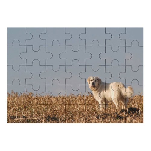yanfind Picture Puzzle Dog Golden Pet Vertebrate Canidae Maremma Sheepdog Carnivore Akbash Sporting Family Game Intellectual Educational Game Jigsaw Puzzle Toy Set