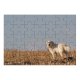 yanfind Picture Puzzle Dog Golden Pet Vertebrate Canidae Maremma Sheepdog Carnivore Akbash Sporting Family Game Intellectual Educational Game Jigsaw Puzzle Toy Set