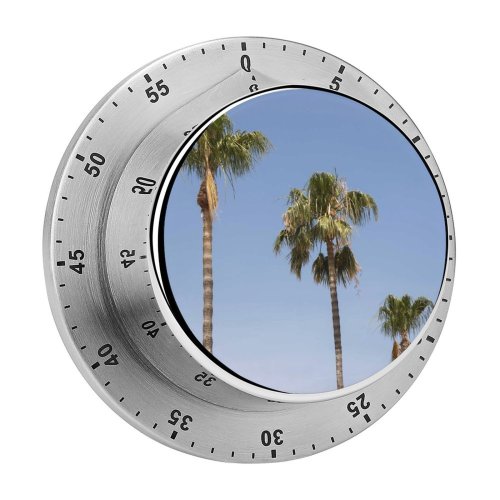 yanfind Timer Images HQ Sky Wallpapers Plant Beach Tropical Travel Tree Beauty Free Palm 60 Minutes Mechanical Visual Timer