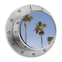 yanfind Timer Images HQ Sky Wallpapers Plant Beach Tropical Travel Tree Beauty Free Palm 60 Minutes Mechanical Visual Timer