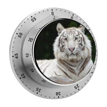 yanfind Timer   Big Cat 60 Minutes Mechanical Visual Timer