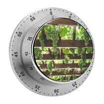 yanfind Timer Images Flora  Vineyard Grapes Faistos Plant  Fruits Stock Free Wine 60 Minutes Mechanical Visual Timer