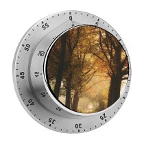 yanfind Timer Autumn Forest Foggy Sunlight Path Road 60 Minutes Mechanical Visual Timer