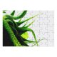 yanfind Picture Puzzle  Flower Angry Prickle Plant Botany Leaf Vascular Stem Organism Terrestrial Chlorophyta Family Game Intellectual Educational Game Jigsaw Puzzle Toy Set