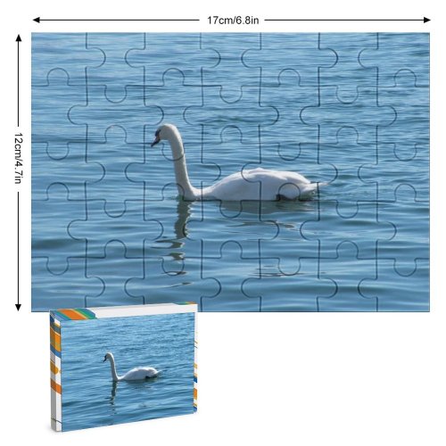 yanfind Picture Puzzle  Lake Switzerland Luzern Bird Ducks Geese Swans Beak Tundra Waterfowl Waterway Family Game Intellectual Educational Game Jigsaw Puzzle Toy Set