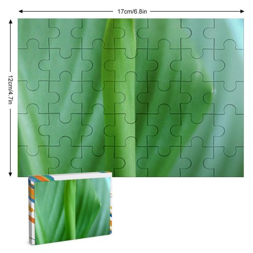 yanfind Picture Puzzle Stuff Leaf Light Plant Texture Flower Flowering Stem Terrestrial Family Game Intellectual Educational Game Jigsaw Puzzle Toy Set