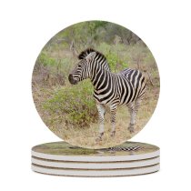 yanfind Ceramic Coasters (round) Wild Kruger Park Zebra Terrestrial Wildlife Vertebrate Grassland Plant Community Safari Shrubland Family Game Intellectual Educational Game Jigsaw Puzzle Toy Set