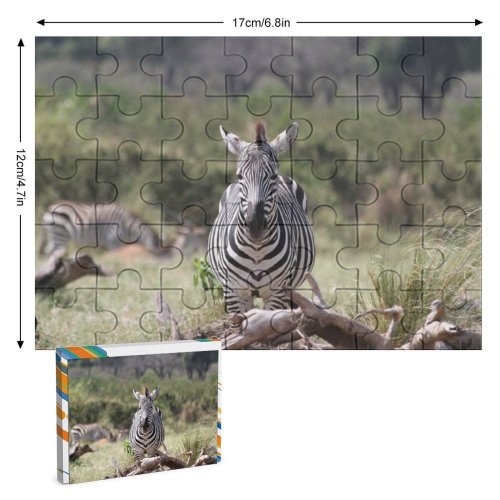 yanfind Picture Puzzle Zebra Wildlife Tanzania Africa Vertebrate Terrestrial Wilderness National Park Adaptation Snout Plant Family Game Intellectual Educational Game Jigsaw Puzzle Toy Set