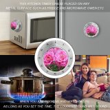 yanfind Timer Poznań Geranium Petals Images Rose Spring Petal Peony Wallpapers Plant Polska Garden 60 Minutes Mechanical Visual Timer