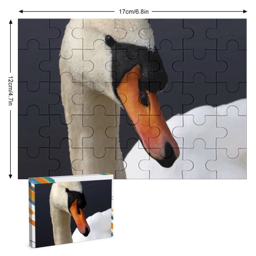 yanfind Picture Puzzle  Lake Lakeland Ireland Irish Mythology Bird Beak Ducks Geese Swans Waterfowl Family Game Intellectual Educational Game Jigsaw Puzzle Toy Set