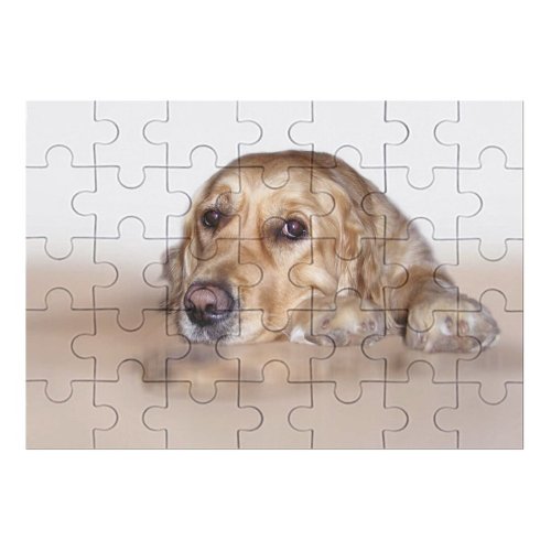 yanfind Picture Puzzle Dog Golden Sweet Canidae Carnivore Snout Nose  Sporting Puppy Family Game Intellectual Educational Game Jigsaw Puzzle Toy Set