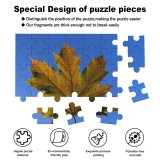 yanfind Picture Puzzle Leaf Sky Maple Tree Plant Woody Plane Flowering Family Game Intellectual Educational Game Jigsaw Puzzle Toy Set